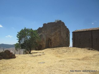 Castello Colonna